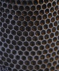 Dans l&rsquo;intimité de la pulpe du doigt