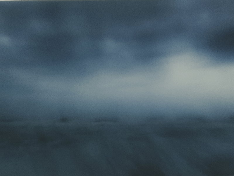 Mers, hirondelle et écureuil : comme un apprivoisement du&nbsp;monde